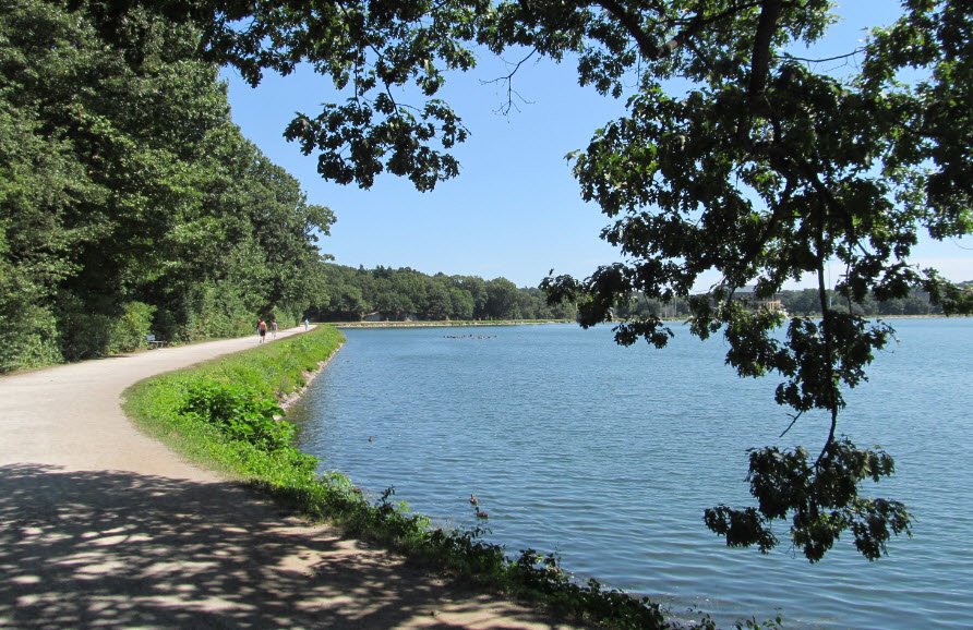 Chestnut Hill Reservation, Massachusetts, USA